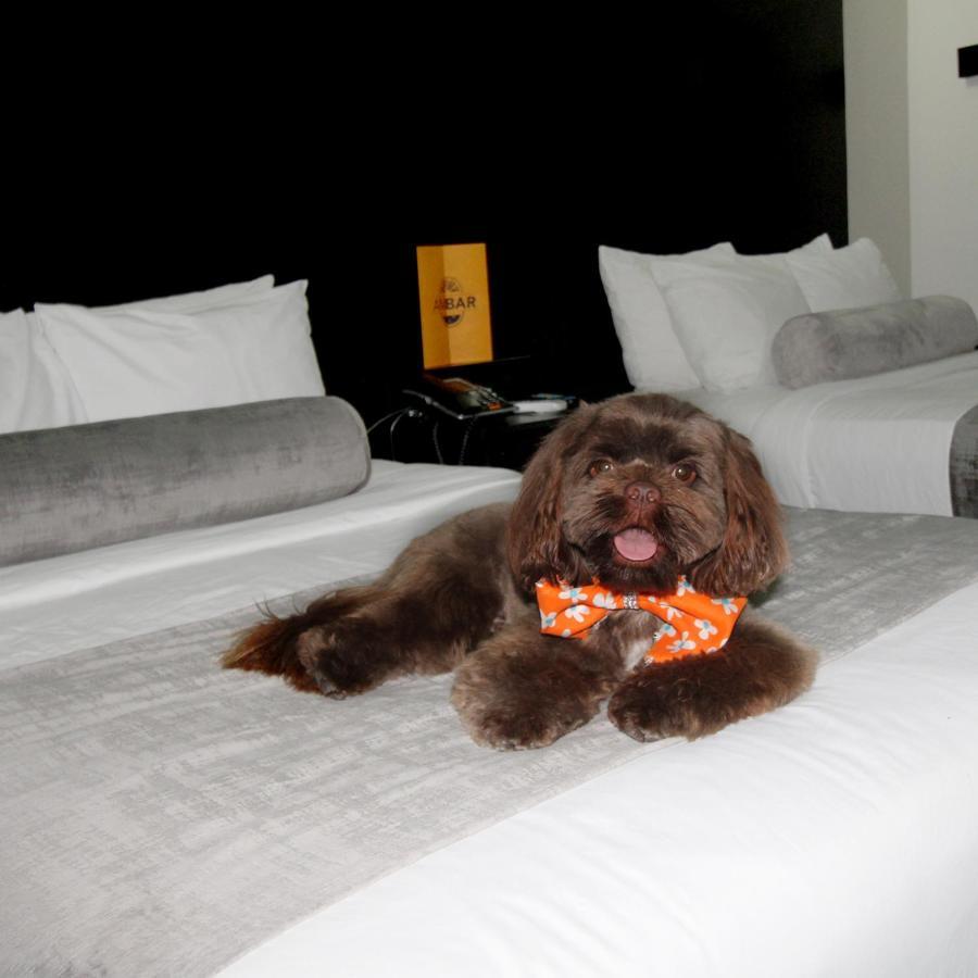 Stay Inn Hotels Reynosa Luaran gambar